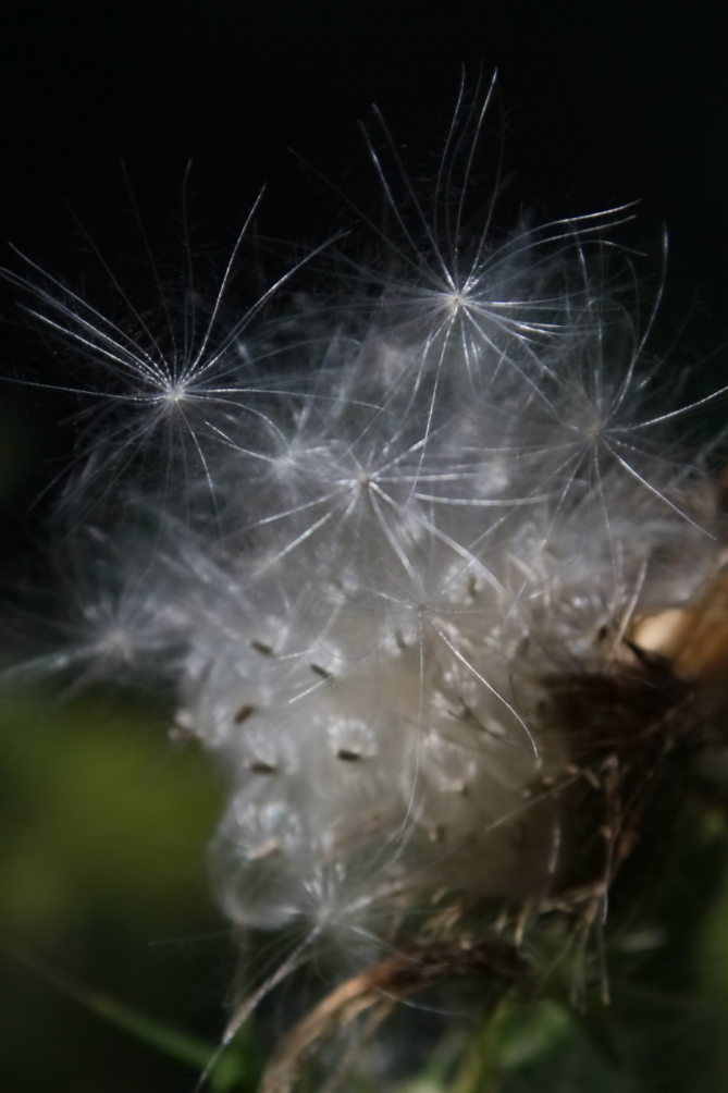 2010 08 28 IMG 06604